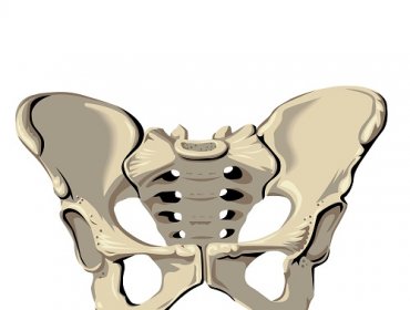 Zaburzenia statyki narządów miednicy mniejszej. Podstawowe informacje