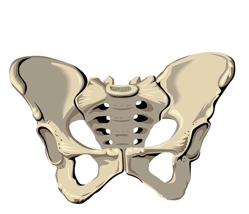 Zaburzenia statyki narządów miednicy mniejszej. Podstawowe informacje